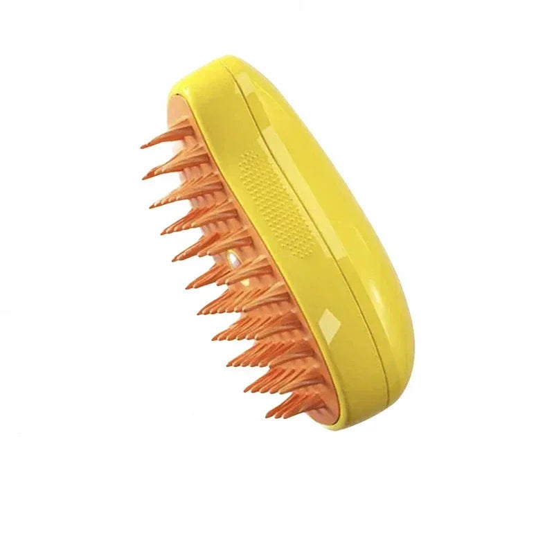 Electric pet massage brush with fine mist spray