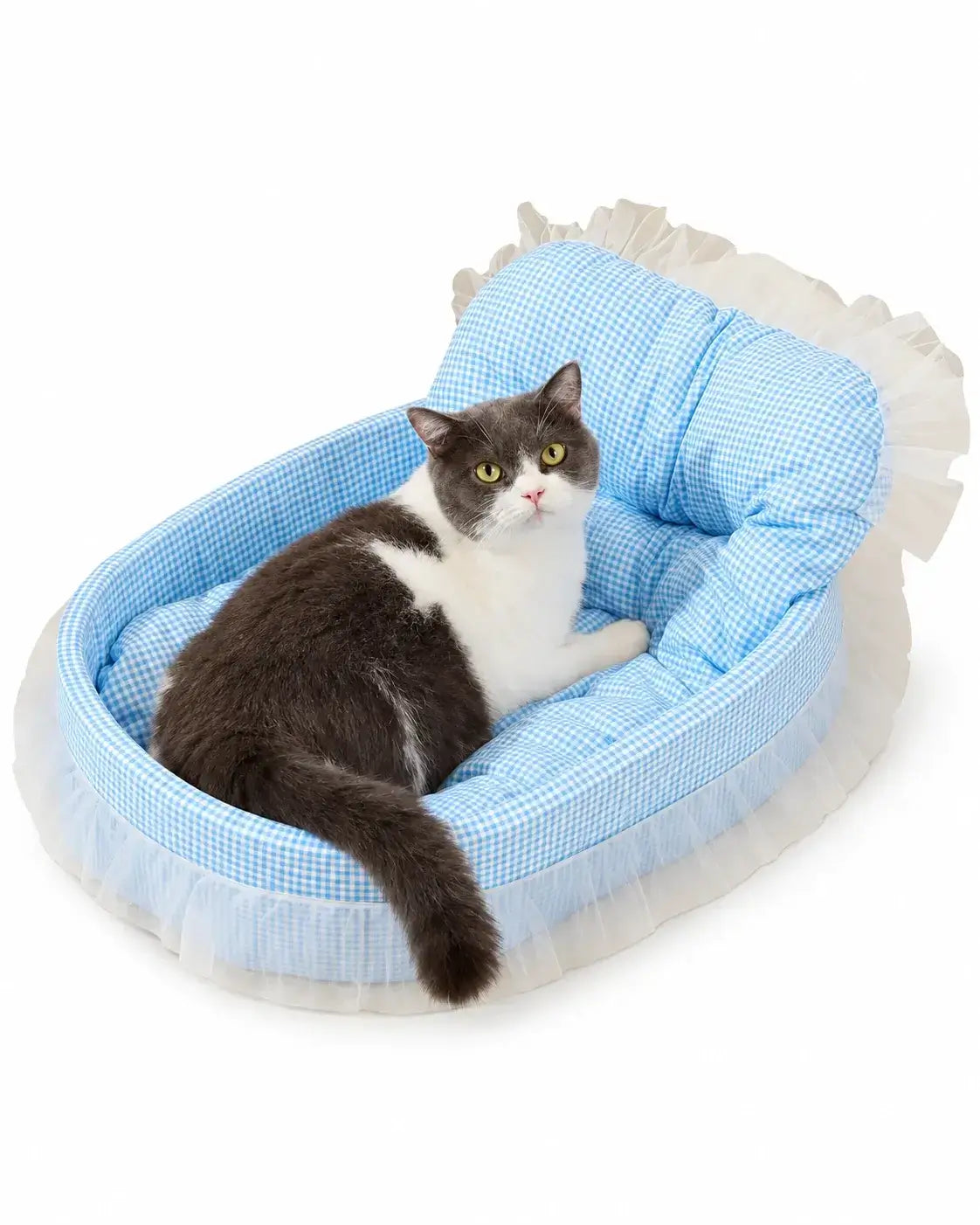 Blue gingham pet sofa bed with a ruffled lace edge and a cat resting against the cushion