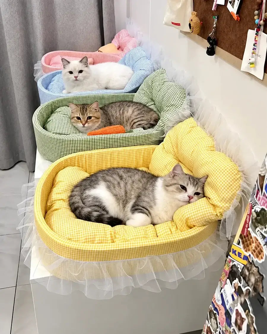 Four gingham pet sofa beds in pink, blue, green and yellow with white lace trim, three cats resting inside